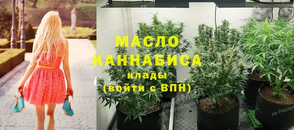 меф Инта
